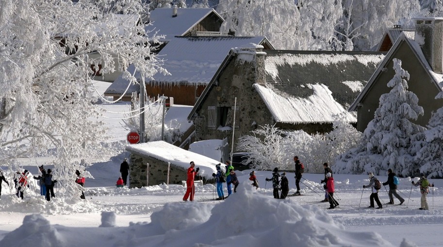 Ski homes