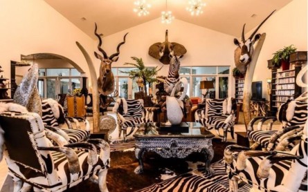 A Texan Taxidermy Mansion Is Soon Going to Be in Sale