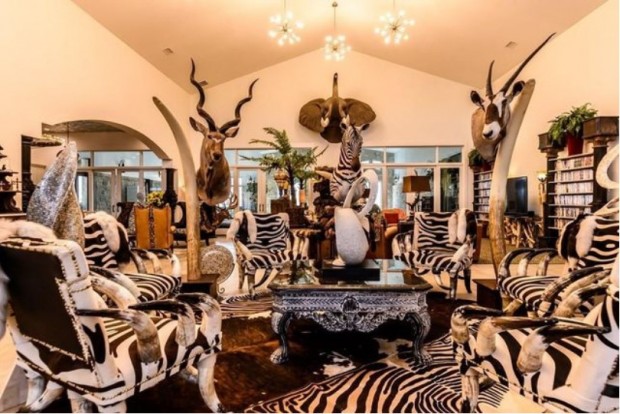 A Texan Taxidermy Mansion Is Soon Going to Be in Sale