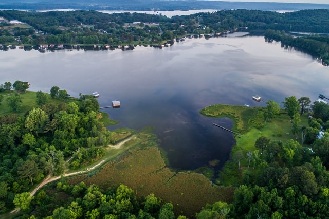 Making Space For New Farm Centre In Alabama Set To Begin: Top 3 Land Clearing Tips From Experts