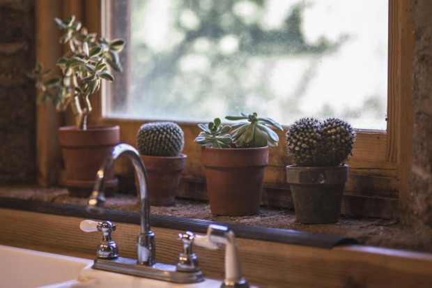 window sill