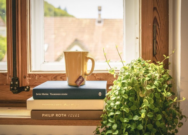 window sill