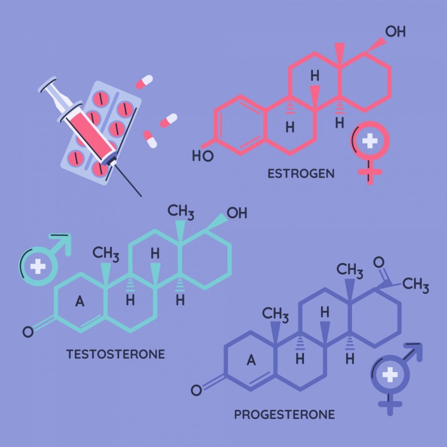 Hand drawn hormones element set