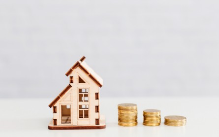 Stacked coins and wooden home