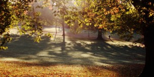 Autumn Colours Throughout The UK