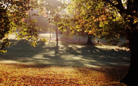 Autumn Colours Throughout The UK