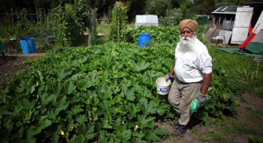 Gardeners Tend Their Plots During National Allotment Week