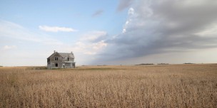 U.S. Farm Earnings Drop 14.6 Percent In Third Quarter AFter A Decline In Output