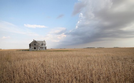 U.S. Farm Earnings Drop 14.6 Percent In Third Quarter AFter A Decline In Output