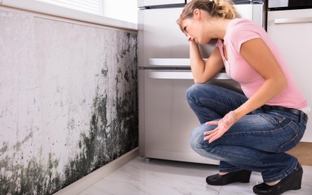 Before You Buy: 5 Signs of Water Damage in a Property