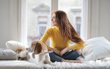 Pet-owners will prioritize the needs of their pets when buying a home