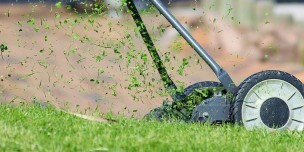 Realty Today - Proper Lawn Care for New Homeowners