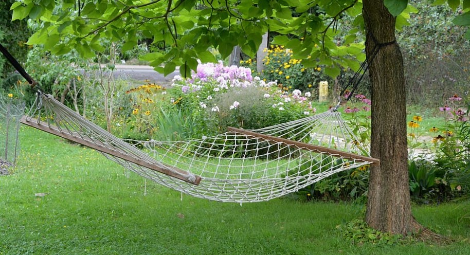 Realty Today - How to Make Your House and Garden More Tranquil – Tips From an Acoustics Expert