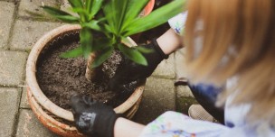 4 Ways to Make Your Garden Eco-friendly