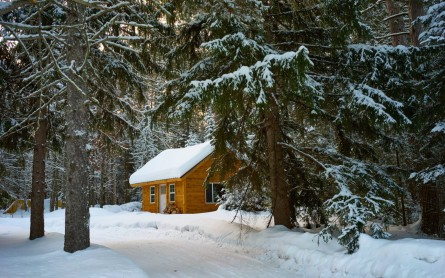 Brown House Near Pine Trees Covered With Snow