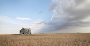 U.S. Farm Earnings Drop 14.6 Percent In Third Quarter AFter A Decline In Output